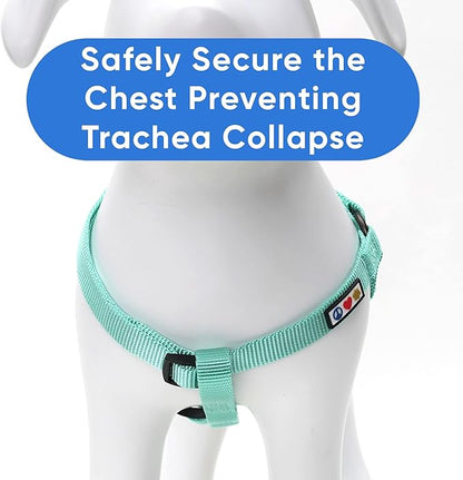 Pawtitas Solid Step-in Dog Harness – Adjustable No-Pull Vest for Puppies to Seniors, Safe & Comfortable S Teal