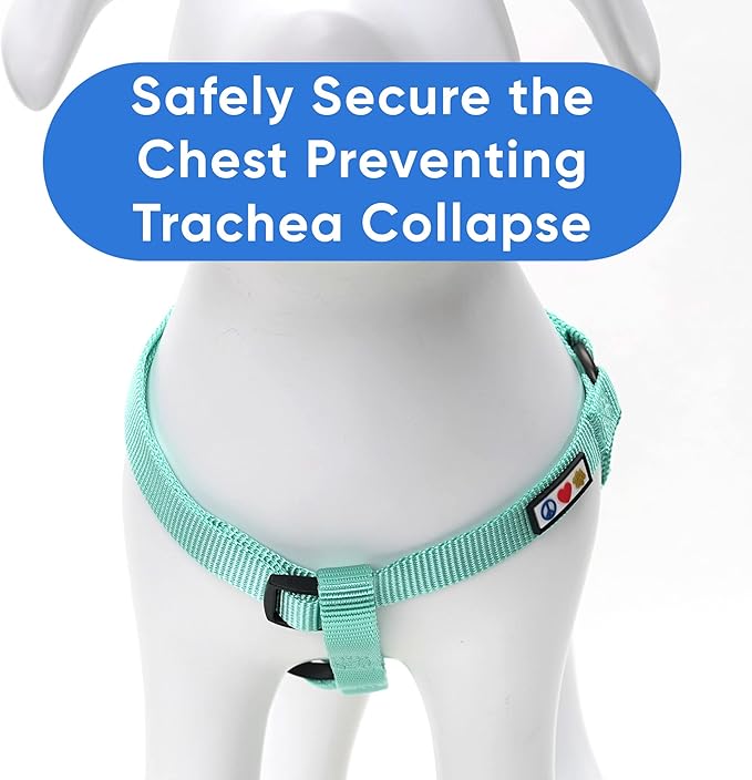 Pawtitas Solid Step-in Dog Harness – Adjustable No-Pull Vest for Puppies to Seniors, Safe & Comfortable L Teal