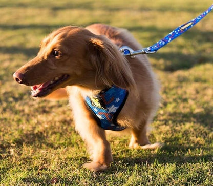 EcoBark Dog Leash - Soft & Reflective Comfort Leashes with Padded Handle - Safe, Strong, & Durable for Small, Medium or Large Dogs (Nautical)