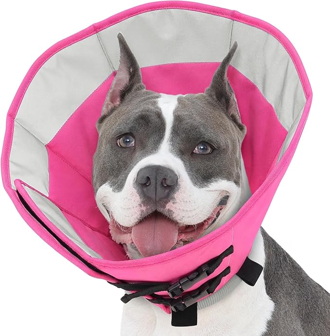 SUNFURA Dog Cones for Medium Dogs, Soft Cone for Dogs to Stop Licking, Comfy Dog Cone with Elastic Collar Loop, Recovery E-Collar Alternative for Wound Healing After Surgery, Pink M