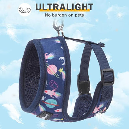 SCENEREAL Small Dog Harness Collar and Leash Set, Adjustable No Pull Pet Harnesses, No Chock Soft Mesh Vest for Doggie Puppy Medium Dogs Cats Girl or Boy,Chihuahua, Yorkie, Outdoor Walking