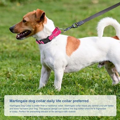 Reflective Martingale Dog Collars. Dog Collar with Quick Release Buckle. Adjustable Soft Padded Breathable Nylon Pet Collar Suitable for Puppies for Small Medium Large Dogs.