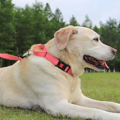 Joytale Martingale Collar for Dogs, Reflective Heavy Duty for Safety, Quick Release Buckle, Adjustable Nylon Collars for Large Dogs Walking Training, Neon Pink, L