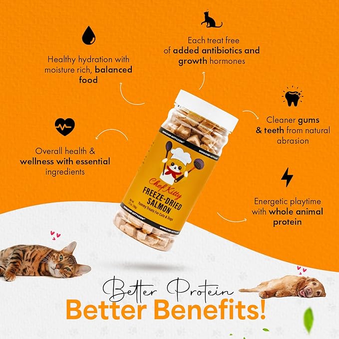 Freeze Dried Salmon Cat Treats | 100% Wild Caught Salmon Dog Treats, Grain- Free | High Protein, Single Ingredient Cat & Dog Food Toppers | No Additives or Preservatives | Tested in USA | 1.4 oz