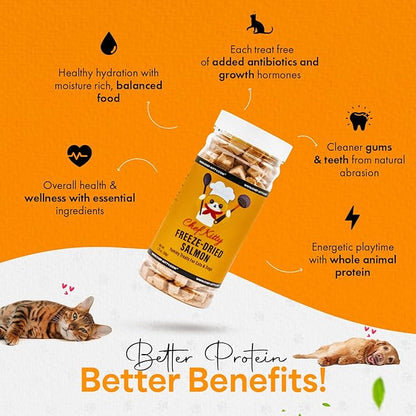 Freeze Dried Salmon Cat Treats | 100% Wild Caught Salmon Dog Treats, Grain- Free | High Protein, Single Ingredient Cat & Dog Food Toppers | No Additives or Preservatives | Tested in USA | 1.4 oz