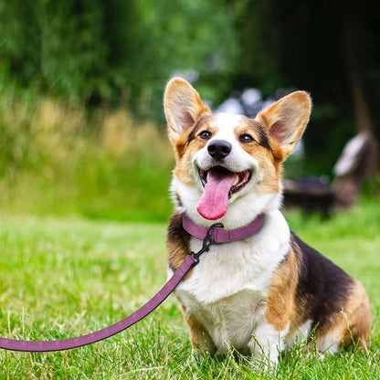 Didog Soft Padded Leather Dog Collar and Leash Set, Adjustable Dog Lead and Collar Set with Metal Buckle, Breathable Pet Collars with 4FT PU Leather Leash for Large Dogs, Purple, XL