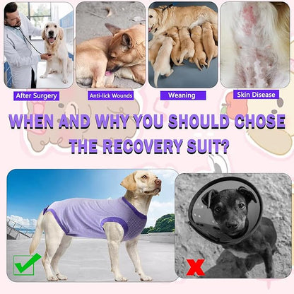 Dog Surgery Recovery Suit for Male Female, Spay Neuter Cone Alternative Surgical Onesie, Purple, XX-Large