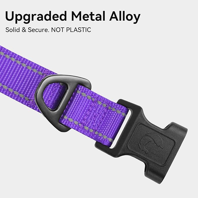 Joytale Reflective Dog Collar,Soft Neoprene Padded Breathable Nylon Pet Collar Adjustable for Large Dogs,Purple,L