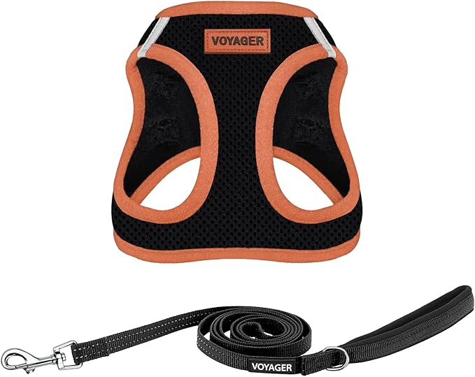 Best Pet Supplies Voyager Step-in Air All Weather Mesh Harness and Reflective Dog 5ft Leash Combo with Neoprene Handle, for Small, Medium and Large Breed Puppies - Set (Black/Orange Trim), Large