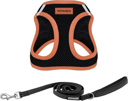 Best Pet Supplies Voyager Step-in Air All Weather Mesh Harness and Reflective Dog 5ft Leash Combo with Neoprene Handle, for Small, Medium and Large Breed Puppies - Set (Black/Orange Trim), Large