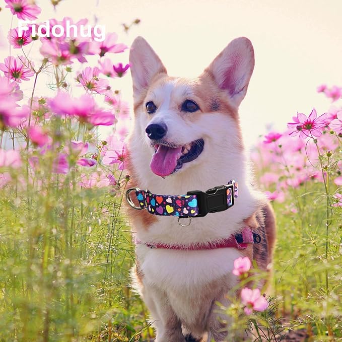 Valentines Martingale Collar for Dogs with Buckle No Pull Adjustable Nylon Limited Slip Training Dog Collars (Purple Love, Small)