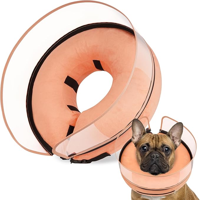 BARKLESS Dog Cone, Inflatable Dog Cone After Surgery, Soft Surgery Collar with Enhanced Anti-Licking Guard Shield for Pets, Patented Protective Donut Collar (Orange, M+ (Neck:11"-14"))