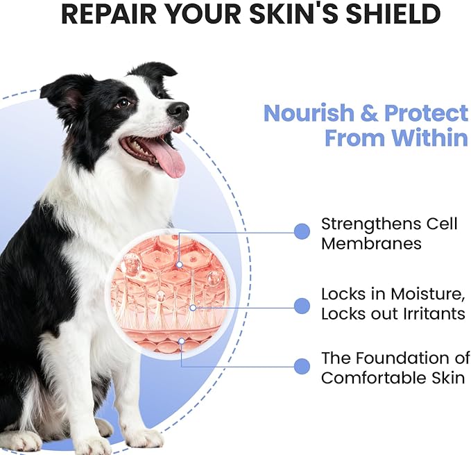 Dog Allergy Skin Relief Chews for Hotspot & Dry Skin, Itchy Skin Relief Supplement for Dog Paw Licking, Anti-Itch Soft Chews with Colostrum-Fish Oil-Probiotic to Boost Immune System 180ct