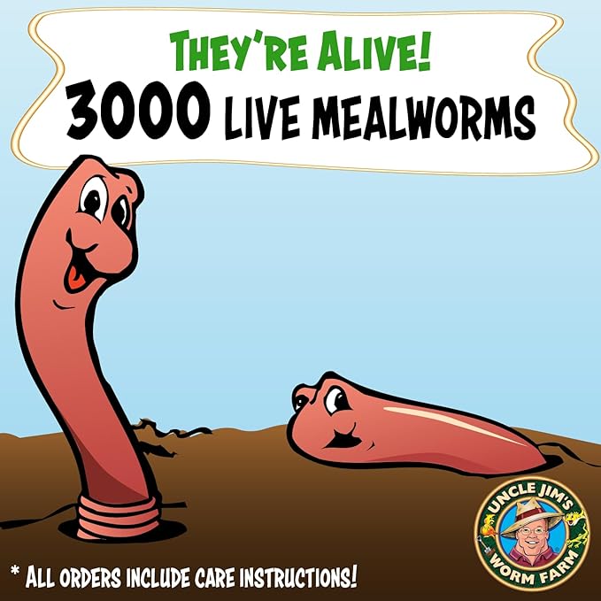 Uncle Jim's Worm Farm 3000 Count Mealworms for Reptiles and Chickens | Mealworms for Feeding Lizard, Gecko, Bearded Dragons, Chickens, Birds, and More | Suitable for Fishing Bait