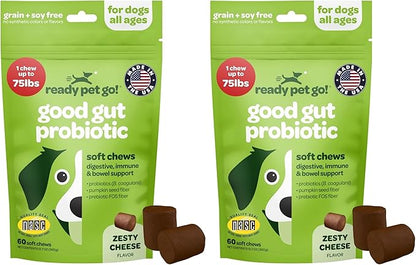 Probiotic Chews for Dogs Gut Health | Tasty Pre and Probiotics for Dogs Digestive Health with Pumpkin Dog Probiotics and Digestive Enzymes | NASC Certified & Made in The USA | 60 Chews (Pack of 2)