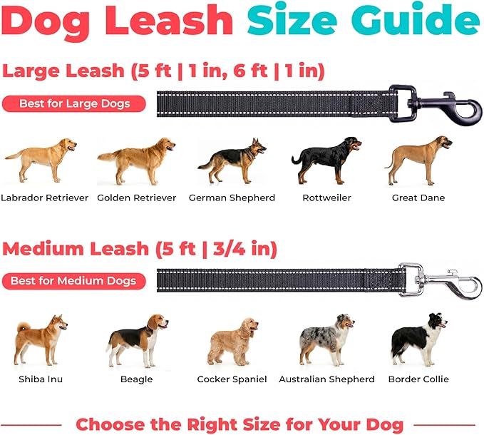 Best Pet Supplies Voyager Reflective Dog Leash or Collar with Neoprene Handle, for Small, Medium, and Large Breed Puppies, Cute and Heavy Duty for Walking, Running and Training - Black (Leash), L