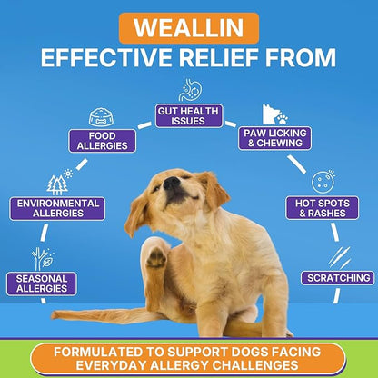 Dog Allergy Relief Chews, 200 Treats Anti-Itch Allergy Soft Chews for Dogs with Probiotics & Omega 3 Fish Oil, Itchy Skin Relief, Immune Support, Paw Licking Itchy Ears & Hot Spots, Seasonal Allergies