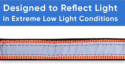 Pawtitas Lumberjack Padded Martingale Collar for Dogs | Soft Neoprene Dog Collar for Your pet's Comfort Made with Reflective Band for Maximum Visibility | Fits Small and Large Pets - XS Orange