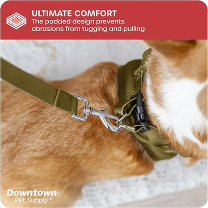 Downtown Pet Supply Step in Dog Harness for Small Dogs No Pull, X-Small, Hunter Green - Adjustable Harness with Padded Mesh Fabric and Reflective Trim - Buckle Strap Harness for Dogs