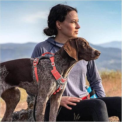 Kurgo Journey Air Dog Harness - Secure Fit for Active Dogs - Padded Chest - Lightweight Ripstop Fabric - Breathable Mesh - Reflective Trim - Back Assist Handle - Coral - X-Large