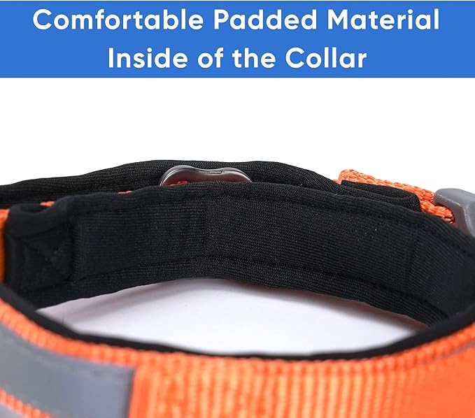 Pawtitas Lumberjack Padded Martingale Collar for Dogs | Soft Neoprene Dog Collar for Your pet's Comfort Made with Reflective Band for Maximum Visibility | Fits Small and Large Pets - XS Orange