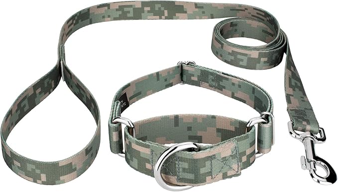 Country Brook Petz - Digital Camo Martingale Dog Collar and Leash Limited Edition - Camouflage Collection Featuring Rugged Designs (5/8 Inch, Small)
