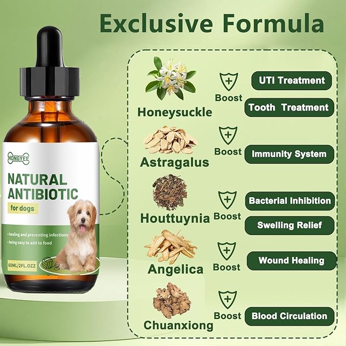 Natural Antibiotic for Dogs – Chicken Flavor 2oz | Supports Relieve Skin Allergy itching and Yeast infections, Urinary Tract Health, Wound Healing & Dental Care |Dog Supplements, Safe for All Ages