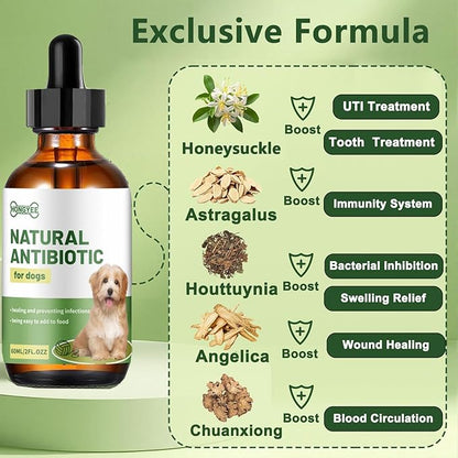 Natural Antibiotic for Dogs – Chicken Flavor 2oz | Supports Relieve Skin Allergy itching and Yeast infections, Urinary Tract Health, Wound Healing & Dental Care |Dog Supplements, Safe for All Ages