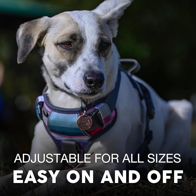 Embark Adventure Dog Harness, Reflective Trim XL Dog Harness for Extra Large Dogs No Pull - Military Grade Nylon, 2 Leash Clips & Gel Lined Handle. Soft & Padded Puppy Dog Harnesses for Any Breed