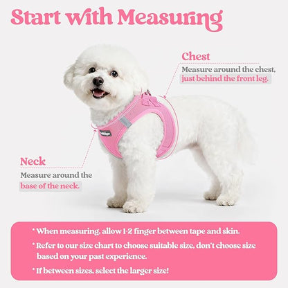 rabbitgoo Dog Harness Medium Sized and Leash Set, Step in Soft Light Puppy Vest, Breathable Mesh Pet Harness, Reflective for Safe Easy Walking, Light Pink XXL