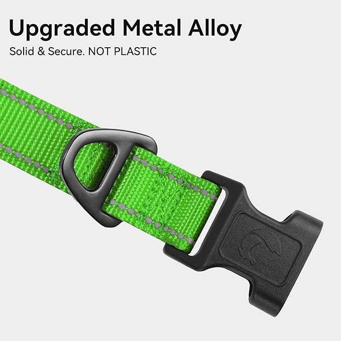 Joytale Reflective Dog Collar, Soft Neoprene Padded, Metal D-Ring, Nylon Pet Collar Adjustable for Large Dogs, Green, L