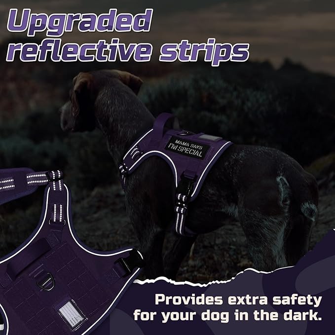 rabbitgoo Tactical Dog Harness Medium Sized Dog, No Pull Military Service Vest with Handle & Molle, Easy Control for Training Walking, Adjustable Reflective Straps, Purple, M