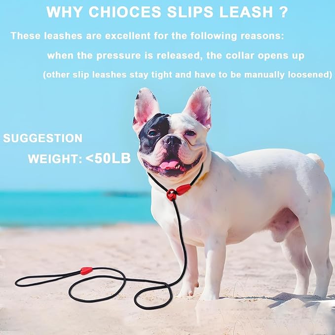 2 Pack Slip Leads for Dogs 6FT Slip Leash for Dogs Dog Lead Strong Nylon Dog Training Leash No Pull Rope Dog Leash Dog Leashes for Small Medium Dogs(Black+Black)