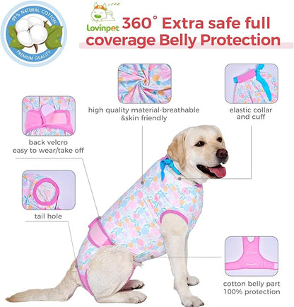 LovinPet Dog Surgical Recovery Suit Male - After Surgery Onesie for Dogs Female & Male Anti-Licking Protection Full Body Coverage for Anti-Shedding