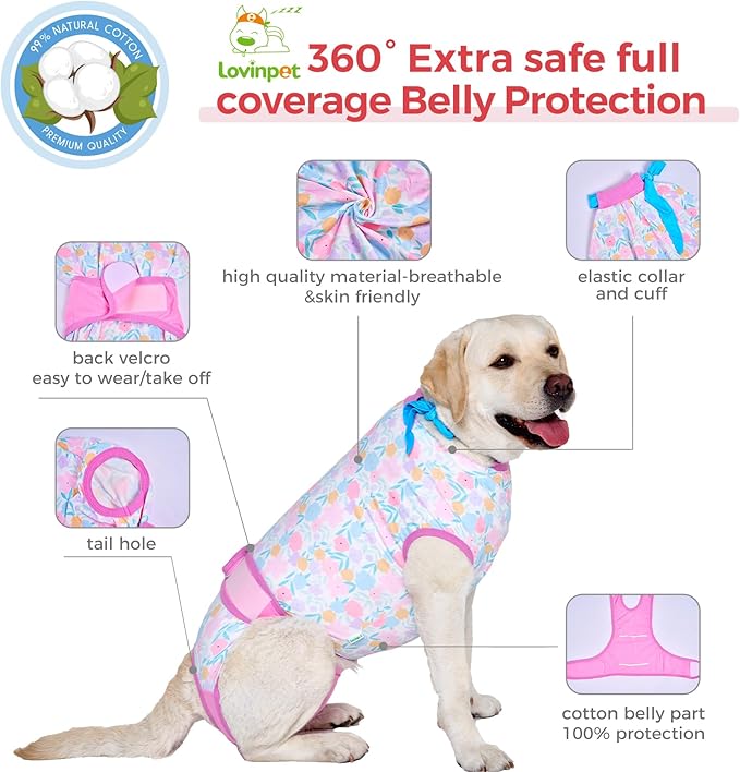 LovinPet Dog Onesie for Surgery Male - Dog Neuter Recovery Suit Male Female & Male Anti-Licking Protection Full Body Coverage for Anti-Shedding