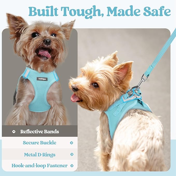 rabbitgoo Dog Harness Small Sized and Leash Set, Step in Soft Light Puppy Vest, Breathable Mesh Pet Harness, Reflective for Safe Easy Walking, Mint Blue XXS