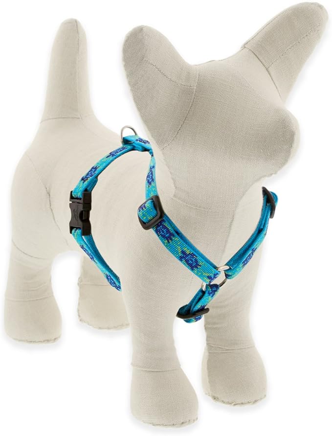 LupinePet Originals 1/2" Turtle Reef 12-20" Adjustable Roman Dog Harness for Small Dogs
