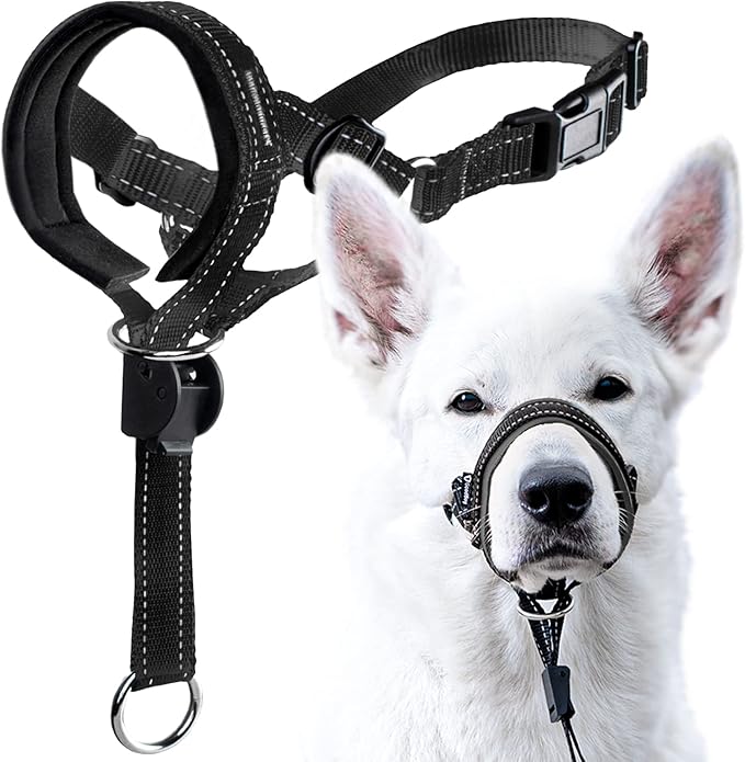 GoodBoy Dog Head Halter with Safety Strap - Stops Heavy Pulling On The Leash - Padded Headcollar for Small Medium and Large Dog Sizes - Head Collar Training Guide Included (Size 2, Black)