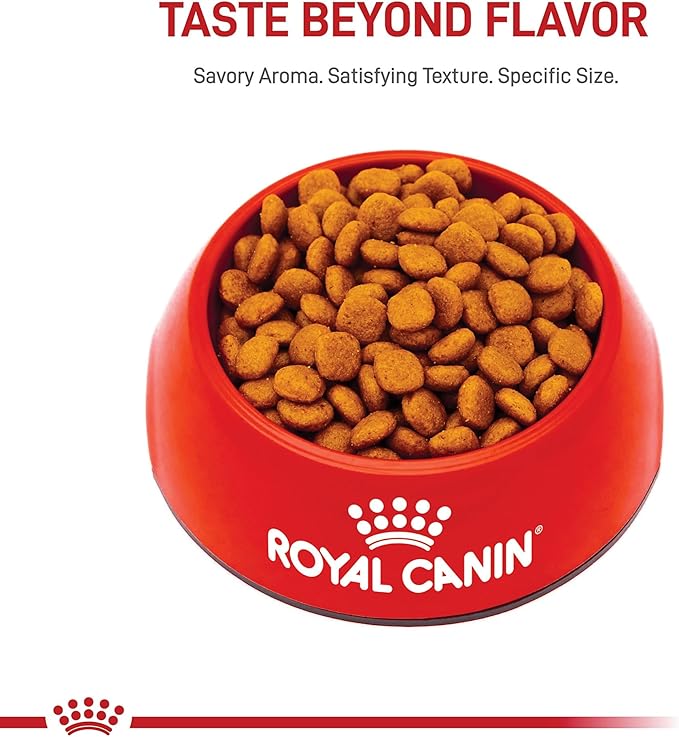 Royal Canin Breed Health Nutrition Cavalier King Charles Spaniel Adult Dry Dog Food, 10 lb Bag