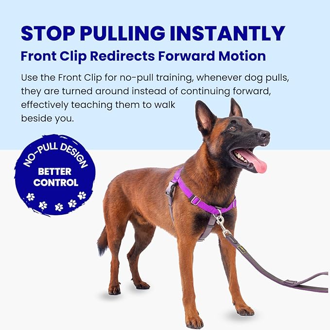 Freedom No Pull Dog Harness, Designed for Hound Dog Train, Easy Walk with 2 Stainless D-Rings, Sewn-in Instructions Tags for Easy Use, for Large Dogs Weight 60-80 lbs (Purple, L)