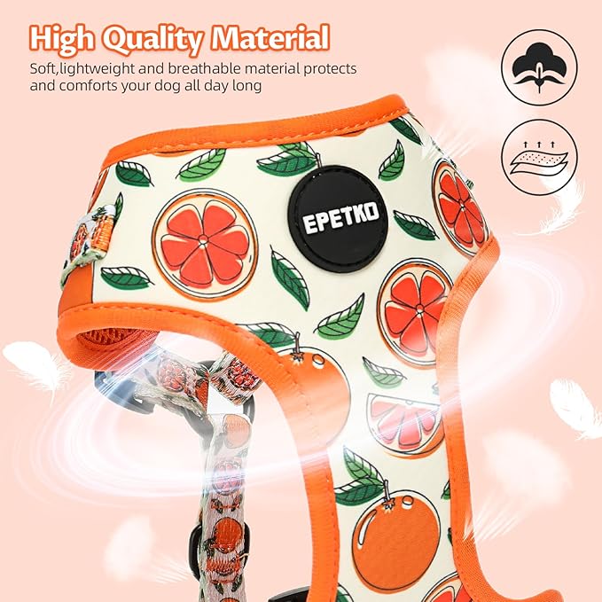 Small Dog Harness and Leash Set of 6, No Pull Soft Lightweight Mesh Puppy Harness， Adjustable Cute Floral Pattern Pet Harness for Small Medium Dogs (Orange, S)