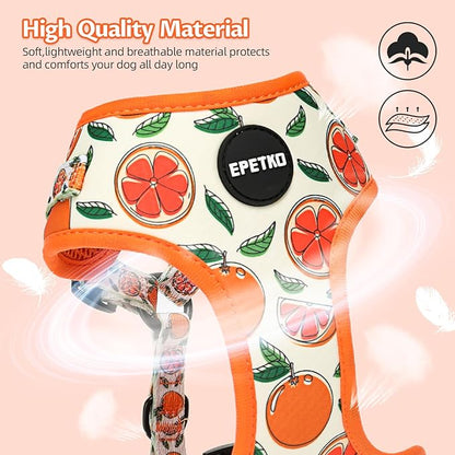 Small Dog Harness and Leash Set of 6, No Pull Soft Lightweight Mesh Puppy Harness， Adjustable Cute Floral Pattern Pet Harness for Small Medium Dogs (Orange, XS)