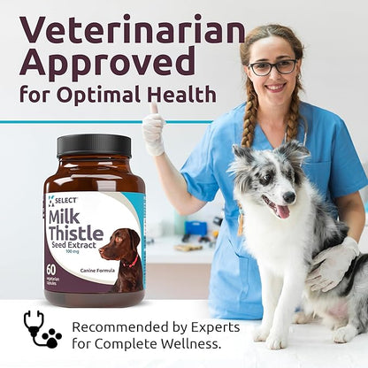 Milk Thistle for Dogs, 100mg - 60 Vegetable Capsules - Canine Liver Health Milk Thistle Supplement - Milk Herbal