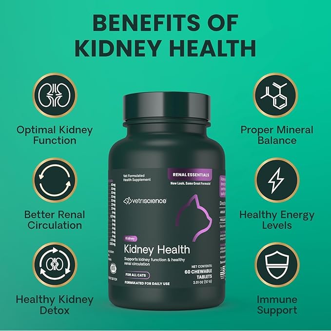 VetriScience Kidney Health Chewable Tablets, Renal Essentials Supplement for Cats, Kidney Care and Support with Mushroom, Astragalus Root, Nettle Seed and Herbs, Chicken and Fish, 60 Count