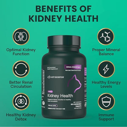 VetriScience Kidney Health Chewable Tablets, Renal Essentials Supplement for Cats, Kidney Care and Support with Mushroom, Astragalus Root, Nettle Seed and Herbs, Chicken and Fish, 60 Count