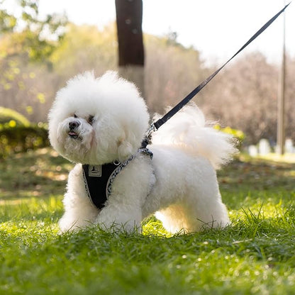Dog Harness & Leash Set - No Pull Soft Breathable Small Dog Harness, Adjustable Reflective Step-in Vest for Puppy, Kitten, Cats