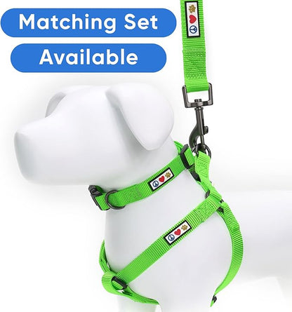 Pawtitas Personalized 6 ft Green Dog Leash M/L Custom Name and Phone Embroidery Strong Nylon Leash for Medium and Large Breeds