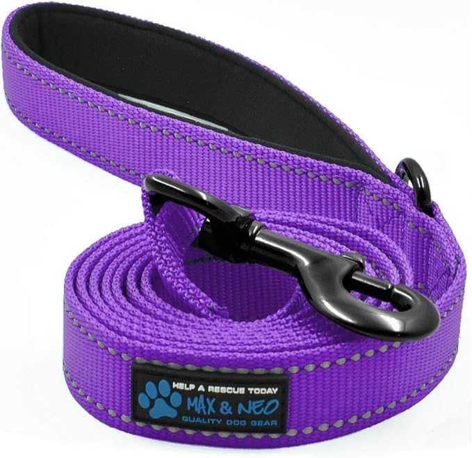 Max and Neo Small Dog Leash - Reflective Nylon, Donates to Dog Rescue (Purple, 4x5/8)