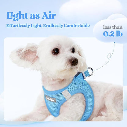 rabbitgoo Dog Harness Medium Sized and Leash Set, Step in Soft Light Puppy Vest, Breathable Mesh Pet Harness, Reflective for Safe Easy Walking, Blue XXL
