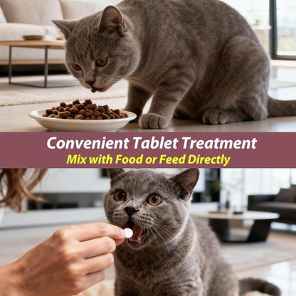 Dewormer for Cats,Cat Wormer Fenbendazole Tablets for Tapeworms, Roundworms & Hookworms,60 Count